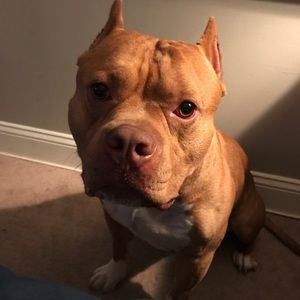 Meet your Posher, Brooke